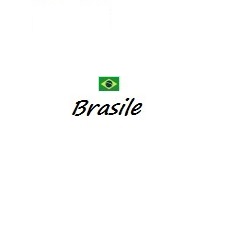 Bandiera e titolo Brasile