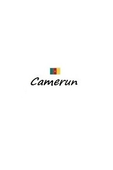 Bandiera e titolo Camerun